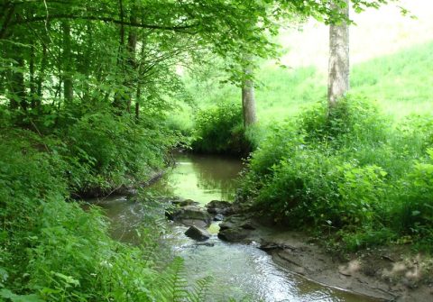 cours d eau