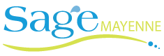 loog sage mayenne