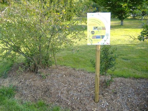 phyteaupropre sage mayenne