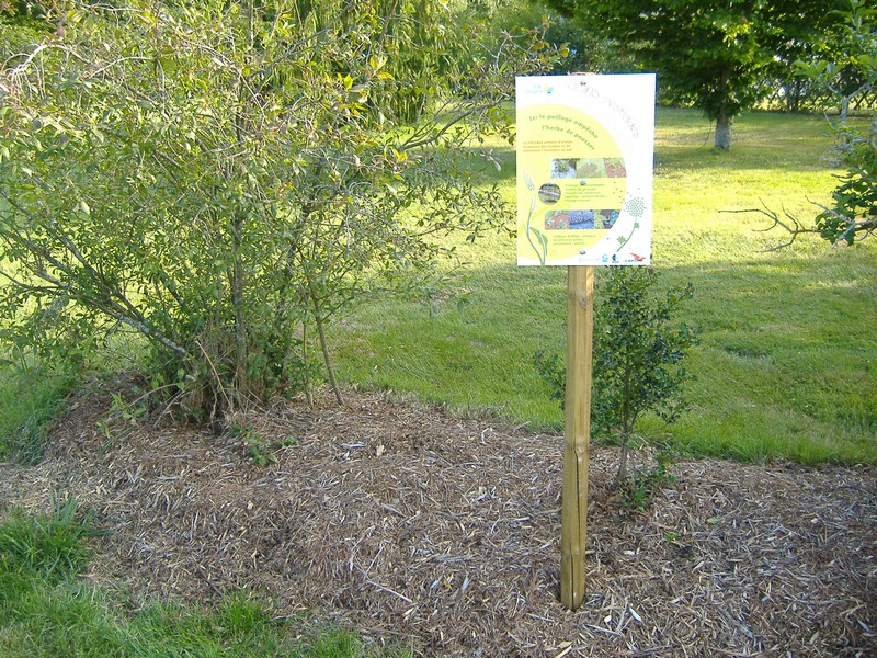 phyteaupropre sage mayenne