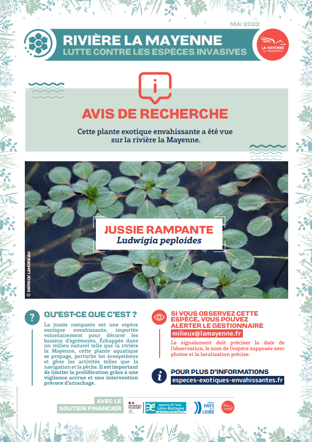 avis de recherche jussie