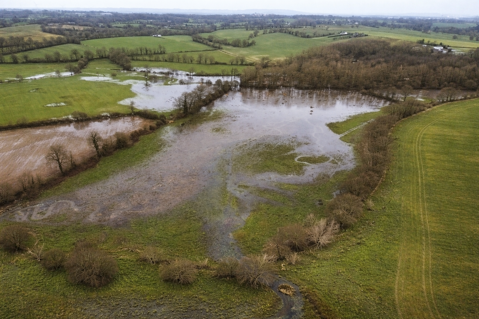 Image 24 févr. 2026, 09_30_07